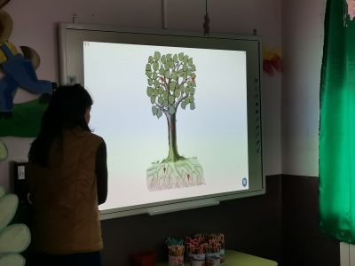 Седмицата на гората в ДГ "Слънчице" 12